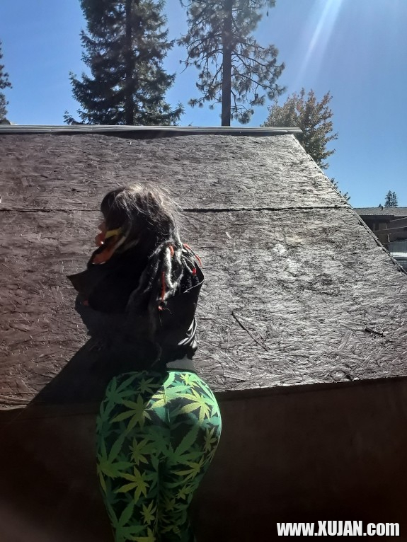 Daddys slutty lil StOneR - Photo #1062754