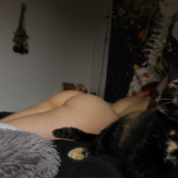 Nor Camera High Def Booty