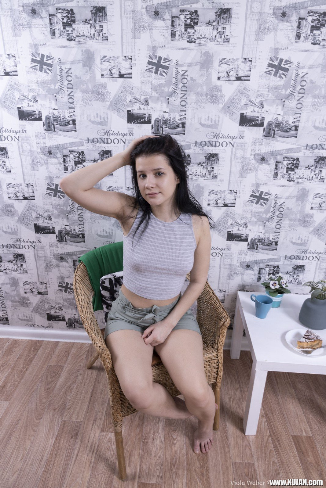 Cute girl Viola Weber showing her small tits and hairy pussy - Photo #1073025
