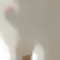 Kinki selfi porno komiqsner