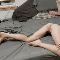 Gif ner dzer hachuyqi hamar