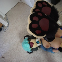 Horny Lazy Big Cat dzer hyurasenyakum