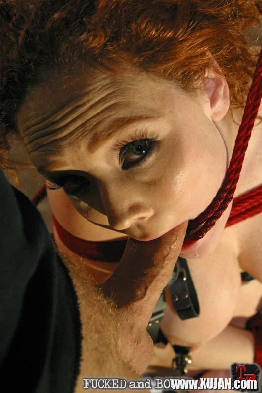 Audrey Hollander rope bound ready for blowjob and anal fucking - Photo #1118368