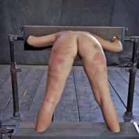 Penny Barber is ass spanked and electro toyed in strap bondage