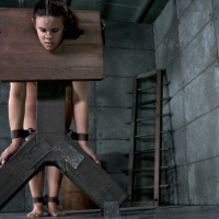 Penny Barber bound in wooden stocks with tits and pussy exposed in dungeon