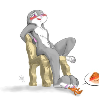 Zootopia Smut Drawings