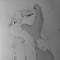 Zootopia Smut Drawings
