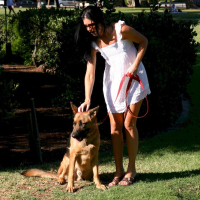 Stunning babe India Summer gets talked into riding his fat shaft