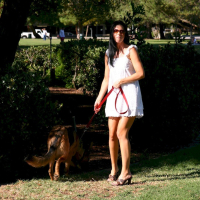 Stunning babe India Summer gets talked into riding his fat shaft
