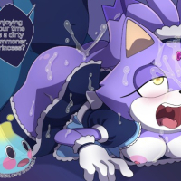 Sonic The Hedgehog Blaze The Catrsquos Commoner Training