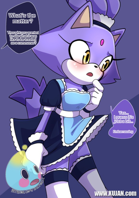 Sonic The Hedgehog Blaze The Catrsquos Commoner Training - Photo #1215675