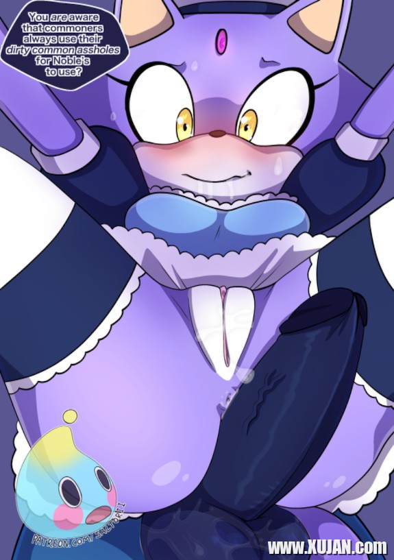 Sonic The Hedgehog Blaze The Catrsquos Commoner Training - Photo #1215678
