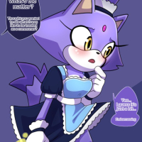 Sonic The Hedgehog Blaze The Catrsquos Commoner Training