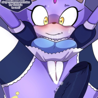 Sonic The Hedgehog Blaze The Catrsquos Commoner Training