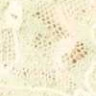 Peachez sheer lace panties spread