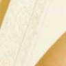 Peachez orange lace g string