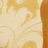 Peachez orange lace g string