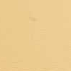 Peachez orange lace g string