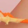 Peachez yellow and orange lace panties