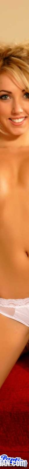 Peachez sheer white lace panties - Photo #1218847