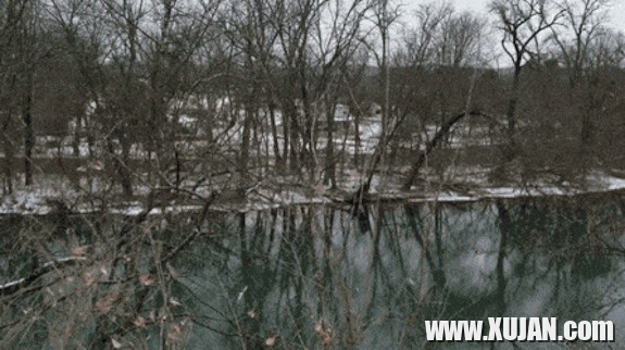 Misc Photos - Photo #1332226