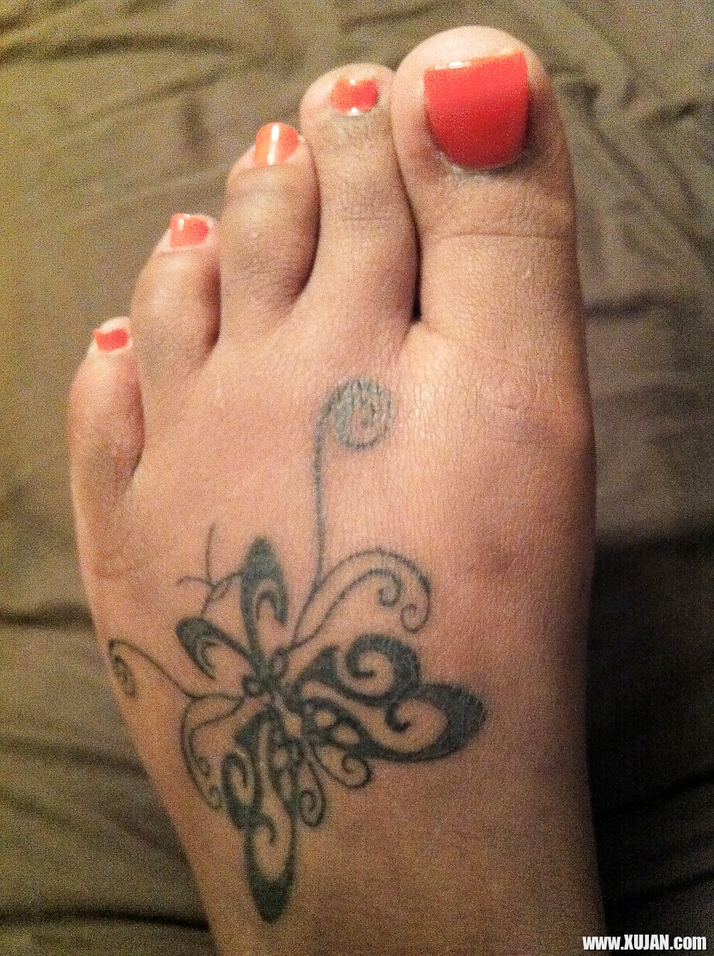 Pics of Ravens Toes and Feet - Photo #1336948