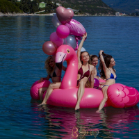 Cute chick Milena has fun with three friends on a pink flamingo