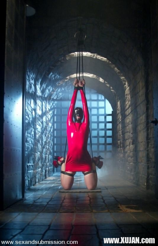 Annette Schwarz in latex bondaged and having rough sex - Photo #1379569