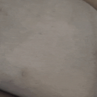 Worthless Desperate BBW Slut Jessica Jones