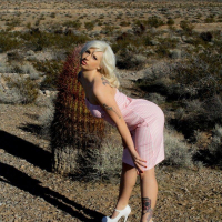 Pictures of Lynn Pops exposing herself outside