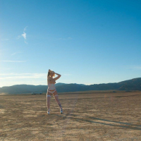 Pictures of Lynn Pops exposing herself on a beach