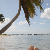 Liz Valery posing nude on a palm tree on the beach