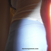 Sexy Slut Harmonys i debyuty