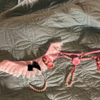 Anonymous Gifts from the Wishlists