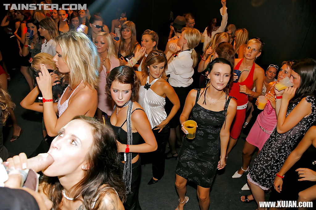 Jizz starving cockhunters show off their blowjob skills at the sex party - Photo #1559441