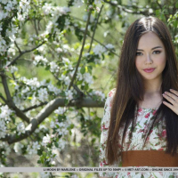 Stunning brunette Li Moon shows you her gorgeous nude body outside
