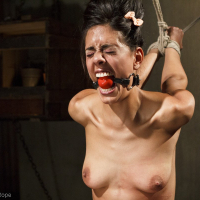Filthy Lyla Storm getting bound and exposed hard