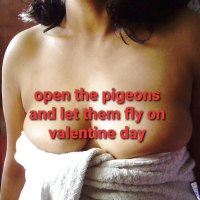 My brothers wife as valentine gift
