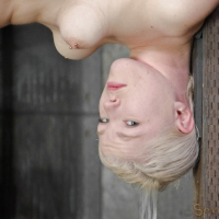Ella Nova is rope bound in spread to a pole and black cock fucked