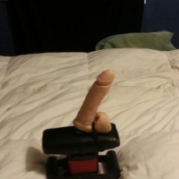 Our toy collection