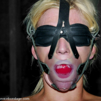 Faces of Porn Kelly Wells