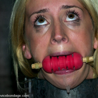 Faces of Porn Kelly Wells