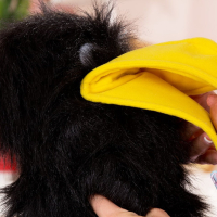 Cute Sandra Shine plays with a hand Puppet and Dildo