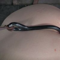 Delirious Hunter blonde is bound her tits clamped and ass spanked