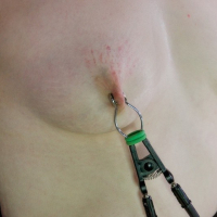 Delirious Hunter blonde is bound her tits clamped and ass spanked
