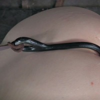 Delirious Hunter blonde is bound her tits clamped and ass spanked