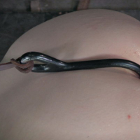 Delirious loves intense BDSM and electricity is right up her all