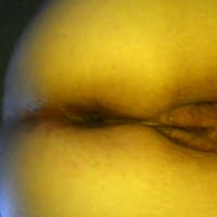 looking for guys to dump their loads in me the more cum the better