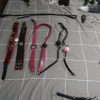 Toy Collection whats your Fav