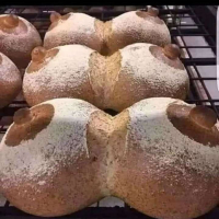 Հավանիք ?